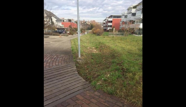 Entwässerung der Quartierstrasse und der Vorplätze über die Schulter