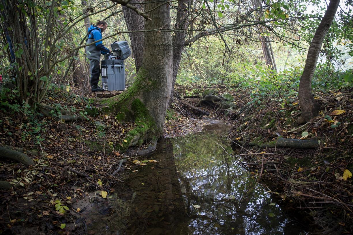 In der Studie NAWA SPEZ 2017 wurde in fünf kleinen Fliessgewässern die Belastung durch Pflanzenschutzmittel untersucht. Auf dem Foto ist die Probenahme an einem der fünf Bäche, dem Eschelisbach (Kt. TG), zu sehen.