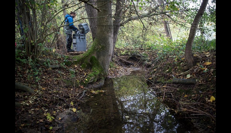 In der Studie NAWA SPEZ 2017 wurde in fünf kleinen Fliessgewässern die Belastung durch Pflanzenschutzmittel untersucht. Auf dem Foto ist die Probenahme an einem der fünf Bäche, dem Eschelisbach (Kt. TG), zu sehen.