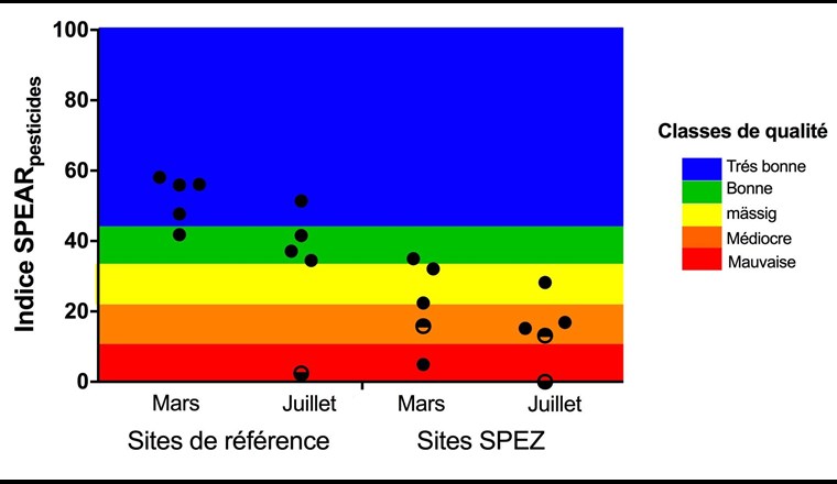 Fig. 6 Auf Artniveau bestimmter SPEAR-Index an den verschiedenen NAWA-SPEZ-2017- bzw. nahe gelegenen Probenahmestellen und den Referenzstellen. Halbausgefüllte Symbole stellen Werte von Probenahmestellen dar, die aufgrund zusätzlicher Beeinflussung für eine Bewertung nicht uneingeschränkt geeignet waren, z. B. wegen regelmässigen Austrocknens (unterer Teil gefüllt) oder wegen stark beeinträchtigter Morphologie (oberer Teil gefüllt).