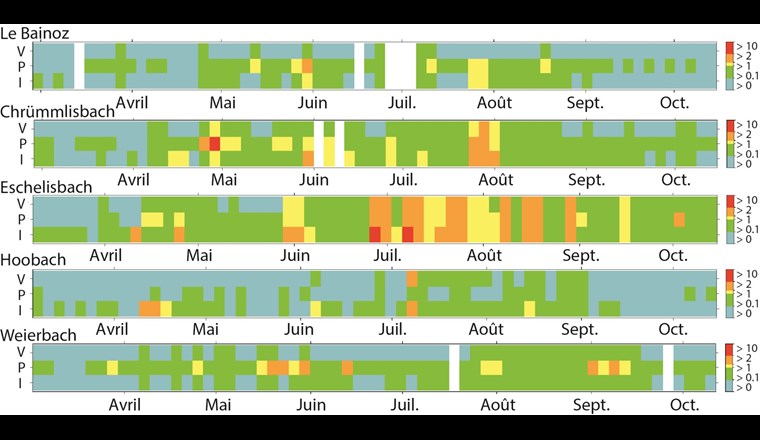 Fig. 4 Akute Mischungsrisikoquotienten (ARQmix) der gemessenen Konzentrationen in 3,5-Tages-Mischproben an den NAWA-SPEZ-2017-Probenahmestellen. Auf der y-Achse sind die Organismengruppen dargestellt: V: Vertebraten (Fische); P: Pflanzen; I: Invertebraten. Weisse Abschnitte bedeuten, dass keine Proben genommen werden konnten. Die Farben zeigen die Höhe des RQ für die jeweilige Organismengruppe und den Zeitraum an. Blau: RQ < 0,1; grün: RQ: 0,1–1; gelb: RQ 1–2; orange: RQ 2–10; rot: RQ > 10.