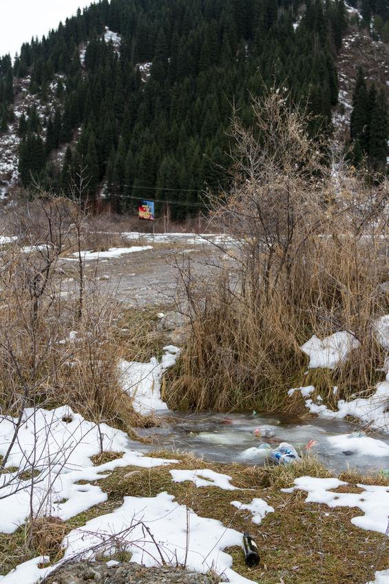 Bild Viktor Kolodko/123rf.com