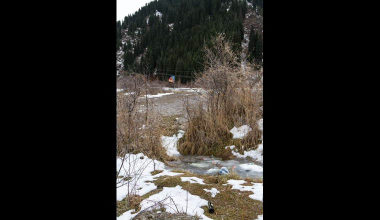 Bild Viktor Kolodko/123rf.com