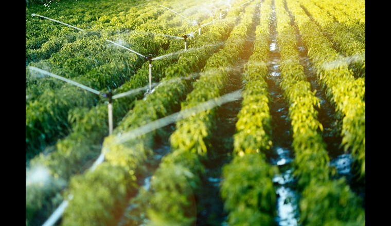 (c) Andor-Bujdoso/123rf.com