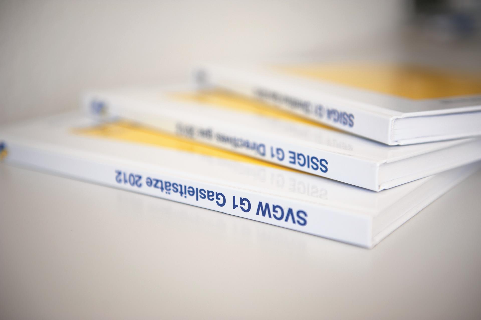 Wie ist das SVGW-Regelwerk rechtlich einzuordnen?