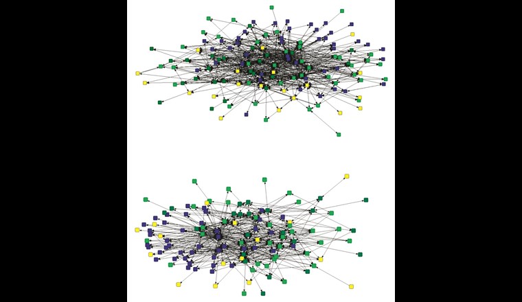 Austausch von technischer (oben) und politischer (unten) Information zwischen den involvierten Akteuren in Form von Netzwerken. Verwaltung: blau; Zivilgesellschaft: hellgrün; Wissenschaft: dunkelgrün; Privatwirtschaft: gelb