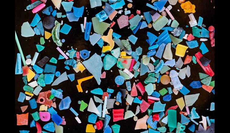 Mikroplastik findet man in allen möglichen Farben und Formen. (Bild: B. Nowack / Empa)