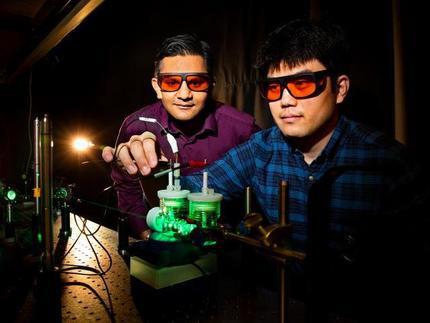 Prashant Jain (links) und Sungju Yu führten künstliche Photosynthese-Experimente mit grünem Licht durch. (Foto: Fred Zwicky/Bionity.com)