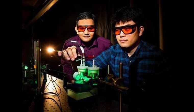 Prashant Jain (links) und Sungju Yu führten künstliche Photosynthese-Experimente mit grünem Licht durch. (Foto: Fred Zwicky/Bionity.com)