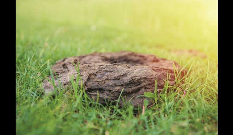 Eine techno-ökonomische Bewertung innovativer Kleinanlagen (©123RF.com)