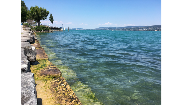 Auch der Zürichsee litt im Jahr 2018 unter der Trockenheit.