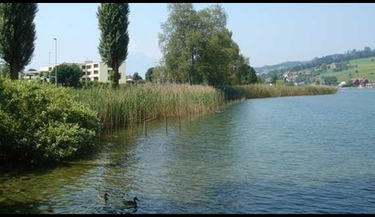 Der Kanton Schwyz ist mit seinen neun Seen und rund 2500 Kilometern Fliessgewässer ein wahrer Wasserkanton. (Foto: Kanton Schwyz)