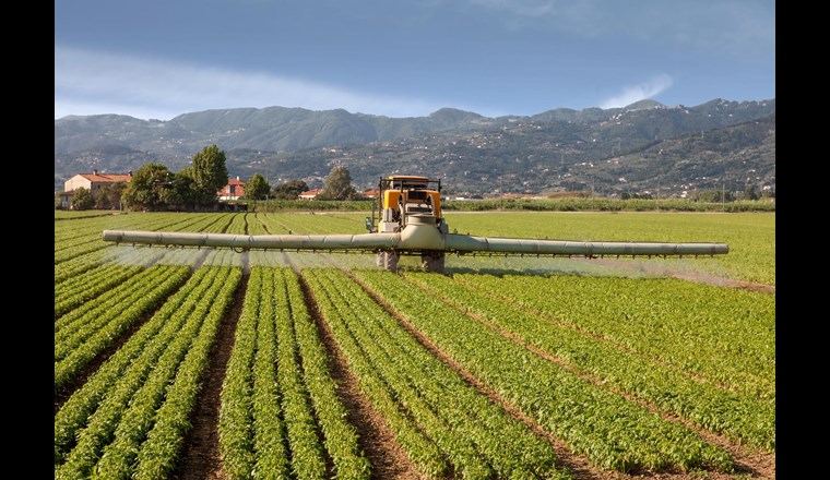 Seit den 1970er-Jahren wird Chlorothalonil in der Landwirtschaft eingesetzt. Jetzt prüft der Bund ein Verbot des Pflanzenschutzmittels. (Foto: Federico Costagno/123rf.com)