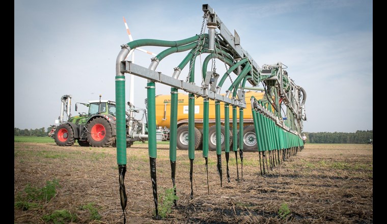 Mit dem Ausbringen von Mist und Jauche betreibt die Landwirtschaft seit je ein gewisses Phosphorrecycling. Doch oft liegen Zonen mit intensiver Tierhaltung und Ackerland weit auseinander, was lange Transporte zur Folge hat.
 (Foto: Wolfgang Ehrecke, pixabay)