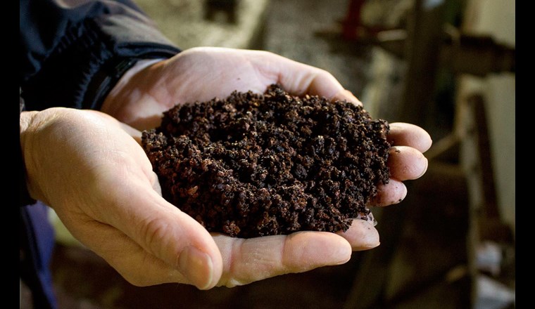 Aus dieser Klärschlammasche kann ein schadstofffreier Phosphordünger hergestellt werden. Damit können regionale Phosphorkreisläufe geschlossen werden. 
(Foto: Sebastian Wälti, CC BY 4.9)