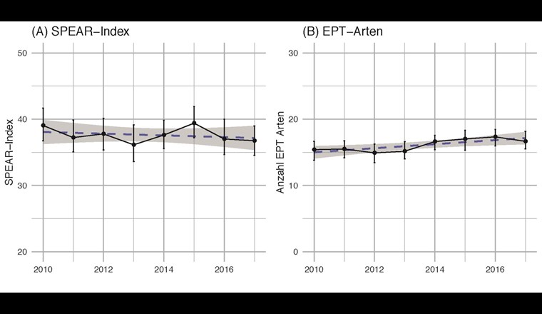 Zeitliche Veränderung (A) des SPEAR-Index und (B) der EPT-Artenzahlen. Diese Angaben basieren auf Probenahmestellen mit zeitlich wiederholten Aufnahmen. In beiden Grafiken sind die mittleren Jahreswerte inklusive des 95%-Kompatibilitätsintervalls in schwarz dargestellt. Zudem wurde eine Regressionsgerade (gestrichelte Linie mit 95%-Kompatibilitätsintervall in grau) durch die mittleren Jahreswerte gelegt.
