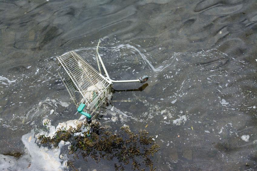 (c) maudis60/123rf.com