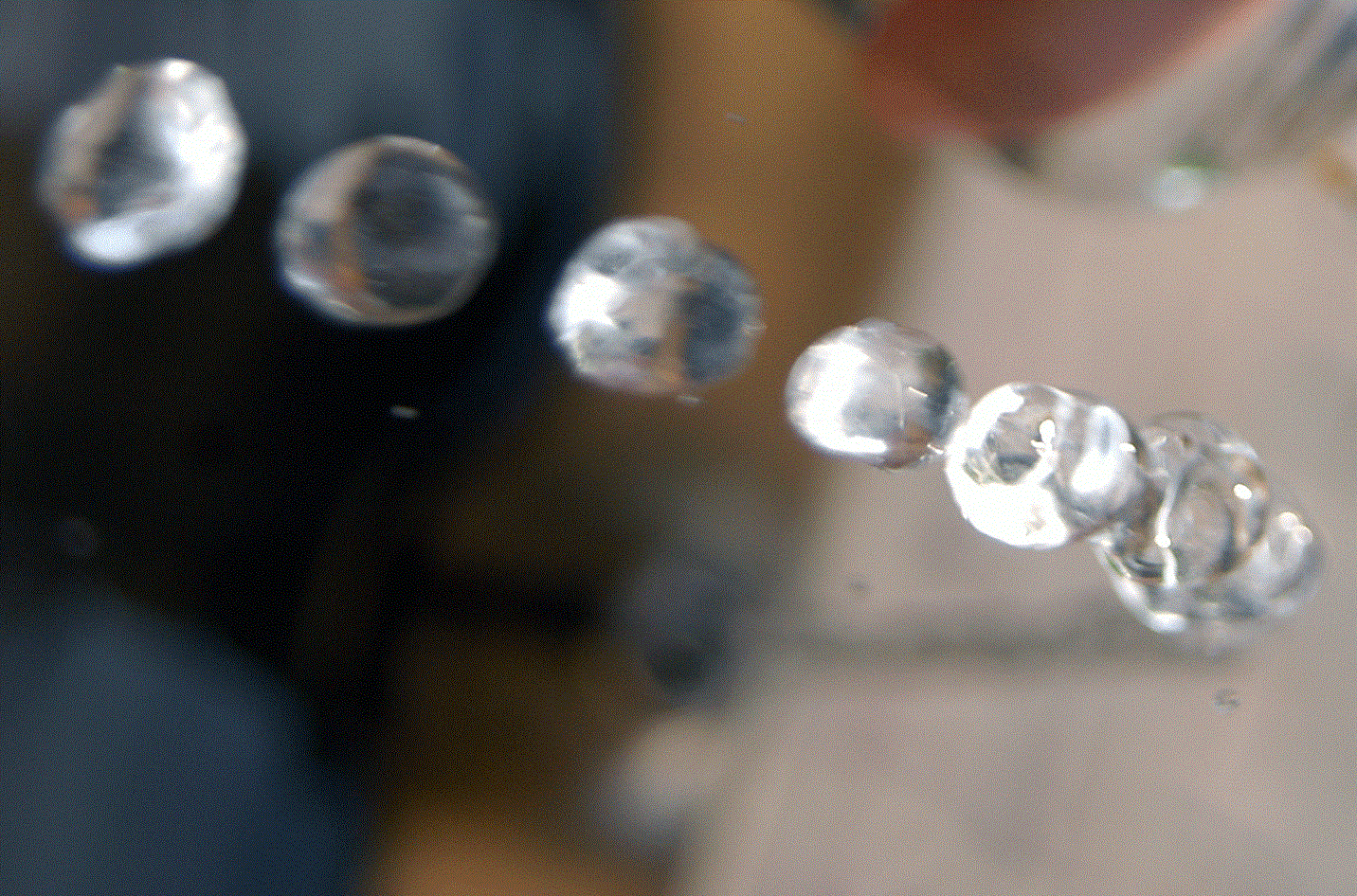 Probenahme, Bild SVGW