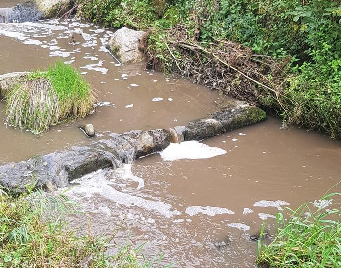 Der Würzenbach bei Adligenswil wurde mit Gülle verschmutzt, worauf es zu einem Fischsterben von Bachforellen kam. (Foto: Polizei Luzern)