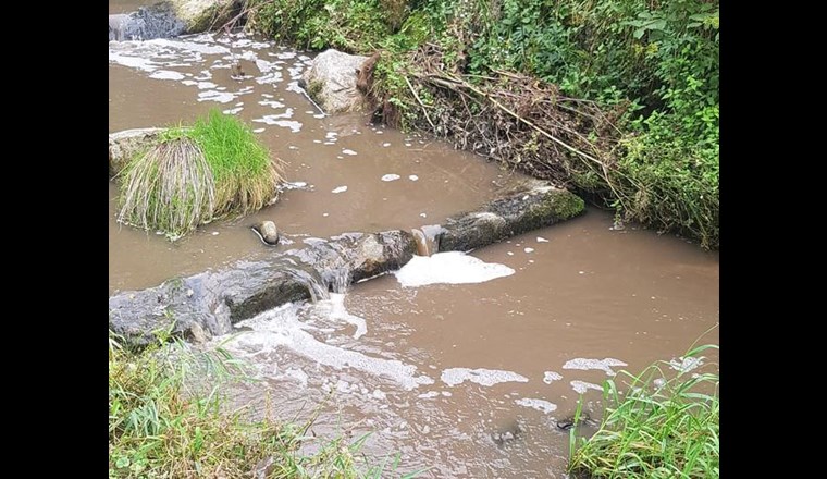 Der Würzenbach bei Adligenswil wurde mit Gülle verschmutzt, worauf es zu einem Fischsterben von Bachforellen kam. (Foto: Polizei Luzern)