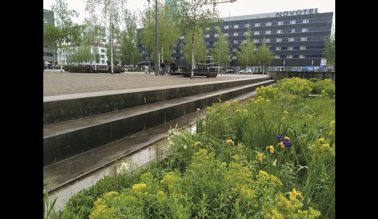 Versickerungsanlage Turbinenplatz in Zürich bei Regenwetter