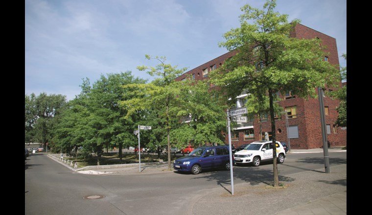 Vorteil Muldenstandort: bessere Vitalität und erhöhtes Wachstum der Bäume