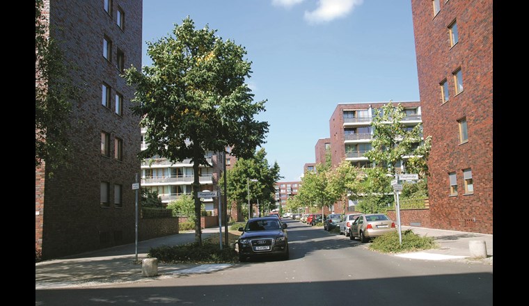 Bäume auf Standorten ohne Muldeneinfluss