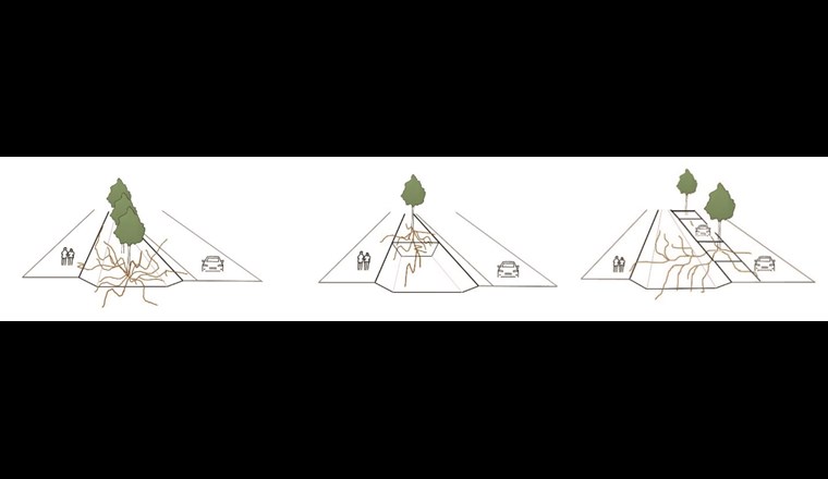 Potenzielle Wurzelentwicklung unter Muldeneinfluss in Abhängigkeit der Platzierung von Bäumen in Muldensystemen. Links: Baumpflanzung in Muldenmitte. Mitte: Baumpflanzung auf Podesten. Rechts: seitliche Baumpflanzung (Quelle: Balder, 2019)