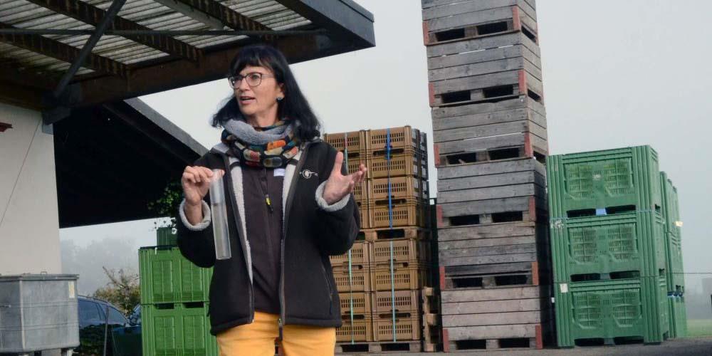 «AquaSan»: Das Projekt dauert acht Jahre, im Fokus stehen der Acker- und Tafelobstbau sowie der Beeren- und Gemüseanbau.