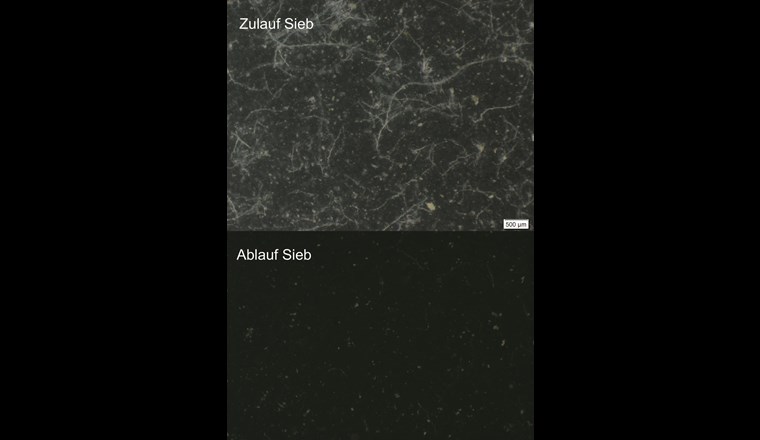 Stereomikroskopische Bilder des Abwassers vor dem Trommelsieb, nach dem Trommelsieb und des Siebguts (Fotos: Eawag)