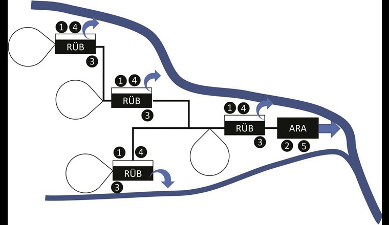 Modellsystem, das für den Vergleich der Optimierungsstufen herangezogen wird. Die Nummern beziehen sich auf die hier verwendeten Optimierungsstufen.