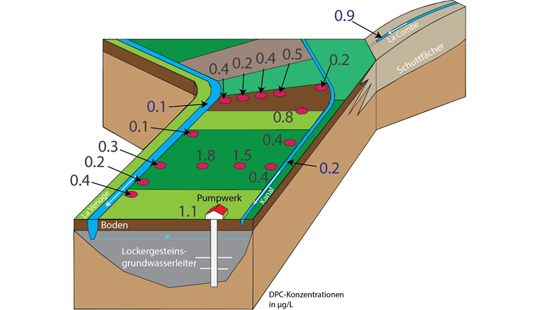 Fig. 3 Schematische Darstellung des Geländestandortes Daillens-Eclépens VD. Zahlen entsprechen den DPC-Konzentrationen im Pumpwerk «Puits des Graveys» bzw. in den Grundwassermessstellen sowie in den Oberflächengewässern bei Mittelwasserstand-Bedingungen.