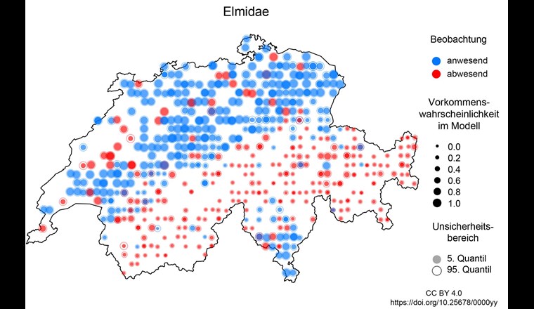 Vorkommen der Käferfamilie Elmidae in der Schweiz in den Biodiversitätsmonitoringdaten und im Modell, grosse blaue Punkte und kleine rote Punkte zeigen eine gute Übereinstimmung zwischen Beobachtung und Modell. (Grafik: Eawag)