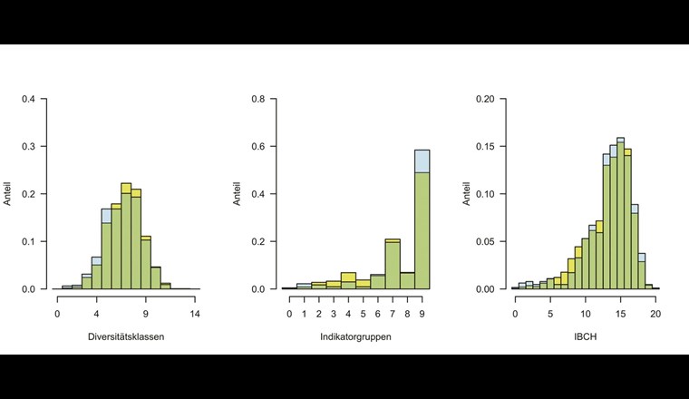 Verteilung der Diversitätsklassen (links), Indikatorgruppen (Mitte) und der IBCH-Werte (rechts) vor der Anpassung. Gelb dargestellt sind die Anteile bezogen auf alle Aufnahmen, blau sind die Anteile bezogen auf die BDM Aufnahmen, grün: Schnittmenge.