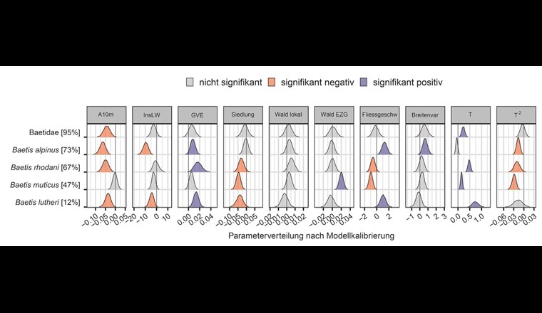 Die Parameterverteilungen der vier häufigsten Baetis-Arten der fast in allen Proben vorkommenden Eintagsfliegen-Familie Baetidae zeigen unterschiedliche Reaktionen auf Umwelteinflüsse an. Die Arten reagieren im Modell stärker als die Familie, sie sind also bessere Bioindikatoren. So reagieren zum Beispiel die Familie Baetidae und die Art B. rhodani im Modell unempfindlich auf den Insektizid-Landnutzungsindex bezüglich Landwirtschaft (InsLW), während die Arten B. alpinus und B. lutheri signifikant negativ reagieren. Die Zahlen in eckigen Klammern geben an, in wie viel Prozent der Proben das Taxon gefunden wurde.