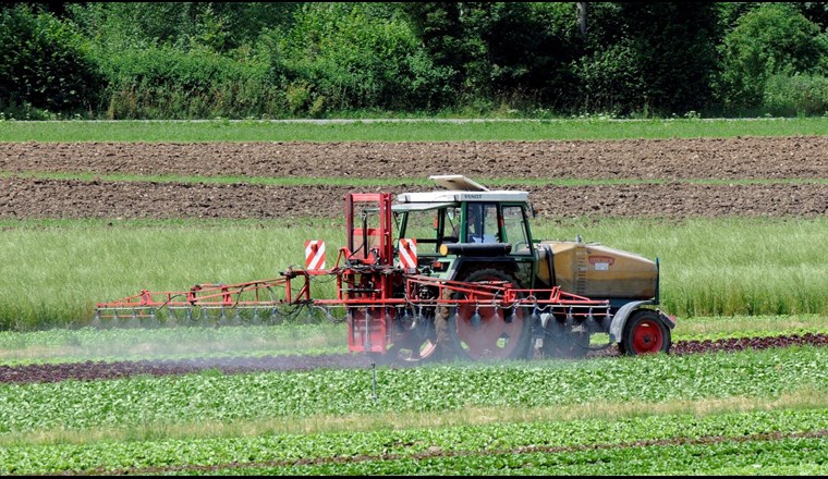 Der Einsatz von Chlorothalonil bleibt ein Thema (Foto: Vision Landwirtschaft)