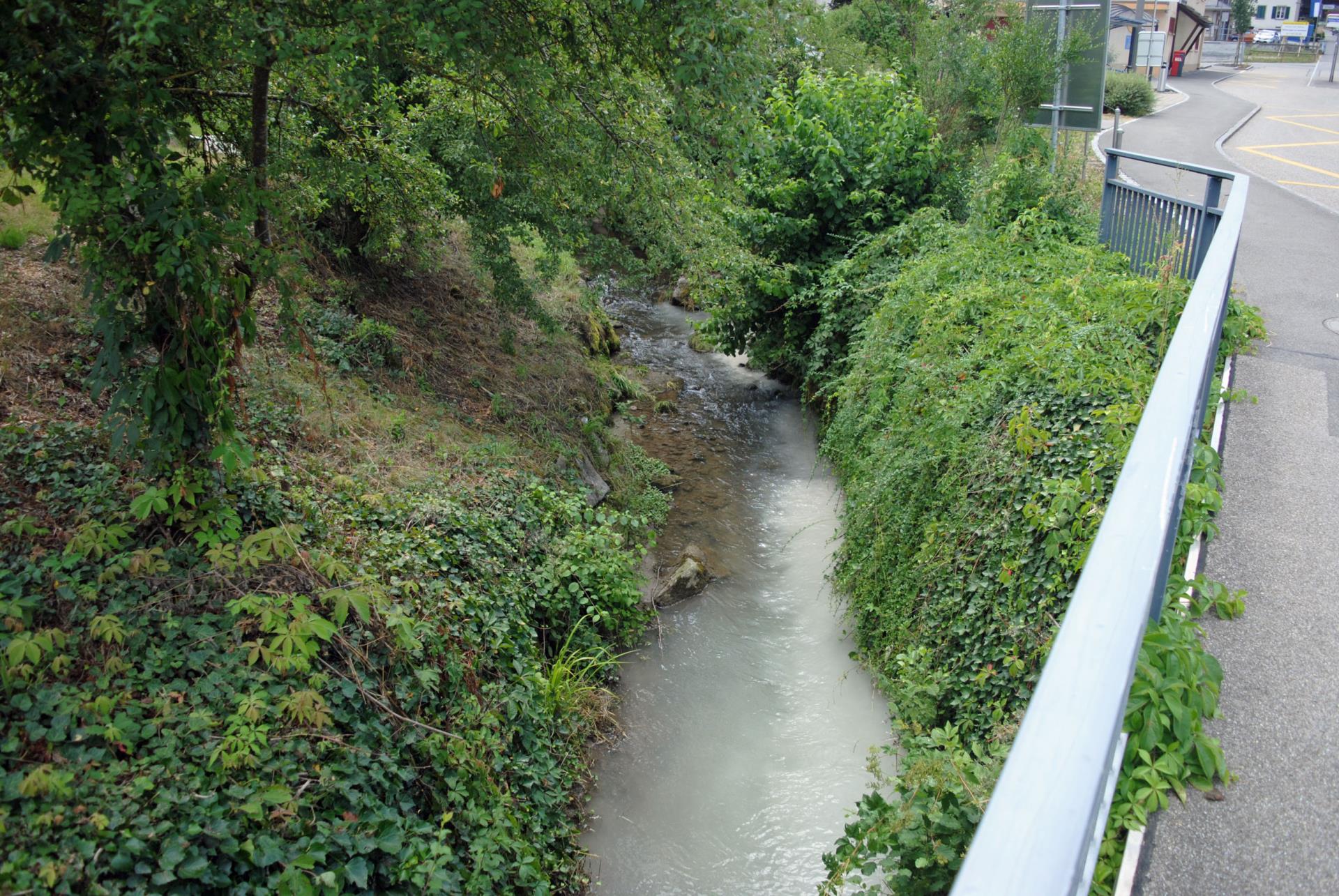 Im vergangenen Jahr kam es im Kanton Luzern zu 88 Fällen von Gewässerverschmutzung. (Foto: Polizei Luzern)