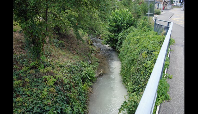 Im vergangenen Jahr kam es im Kanton Luzern zu 88 Fällen von Gewässerverschmutzung. (Foto: Polizei Luzern)