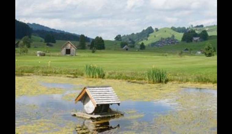 Die Idylle trügt: In Gonten im Appenzell kam es zu einer Gewässerverschmutzung durch Jauche. (Foto: Gemeinde Gonten)