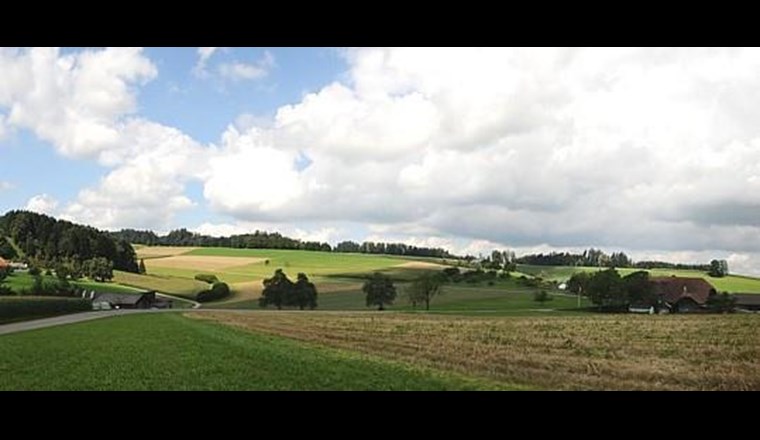 Die Kantone müssen einen Mindestumfang an Fruchtfolgeflächen festlegen.  (Foto: Kanton Luzern)