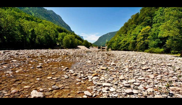 In Hitzesommern tritt das Paradox auf, dass Bäche kaum mehr Wasser führen, die Vegetation in mittleren und hohen Lagen jedoch üppig grün ist. (Foto: ETH Zürich/iStock)