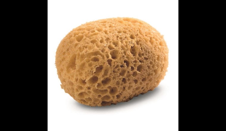 Fig. 5 Die poröse Struktur von Kohle wird oft mit jener eines Schwamms verglichen.