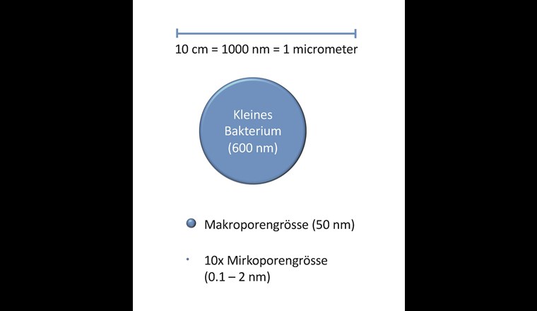 Fig. 6 Grössenvergleiche von Bakterium und Kohleporen.