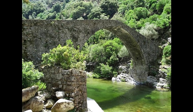 Für ein Dutzend Pestizide, die für Wasserlebewesen besonders problematisch sind, führt die Verordnung strengere Grenzwerte ein. (Foto: SVGW)