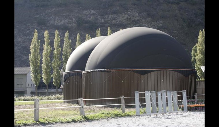 Co-Veranstalter des Bioenergie-Forums in Solothurn ist der Verband Biomasse Suisse, der die energetische Nutzung von  Biomasse fördern möchte. (Foto: Verband Biomasse Schweiz)