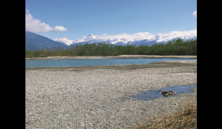 CO2-Fussabdruck reduzieren bei Reinigungsstufen zur Elimination von organischen Spurenstoffen auf Schweizer Kläranlagen.