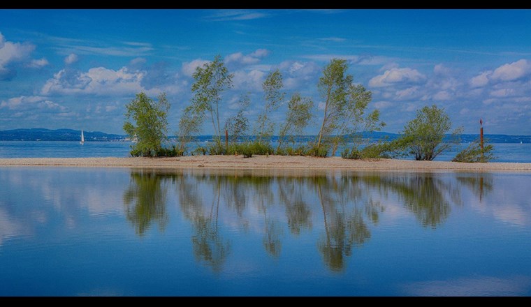 Ein möglichst natürlicher Seezustand ist die beste Anpassung an den Klimawandel. (Foto: W. Oberschelp/IGKB)