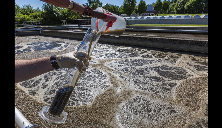 Auch während der Corona-Krise reinigen die Beschäftigten des Ruhrverbands jederzeit die Abwässer aus Haushalt, Industrie und Gewerbe. Die Talsperren des Ruhrverbands sichern die kontinuierliche Versorgung mit Trinkwasser. (Foto: Ruhrverband/Silvia Steinbach)