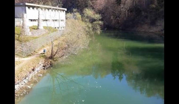 Flockungsmittel in der Saane. (Foto: Amt für Umwelt des Kantons Fribourg)