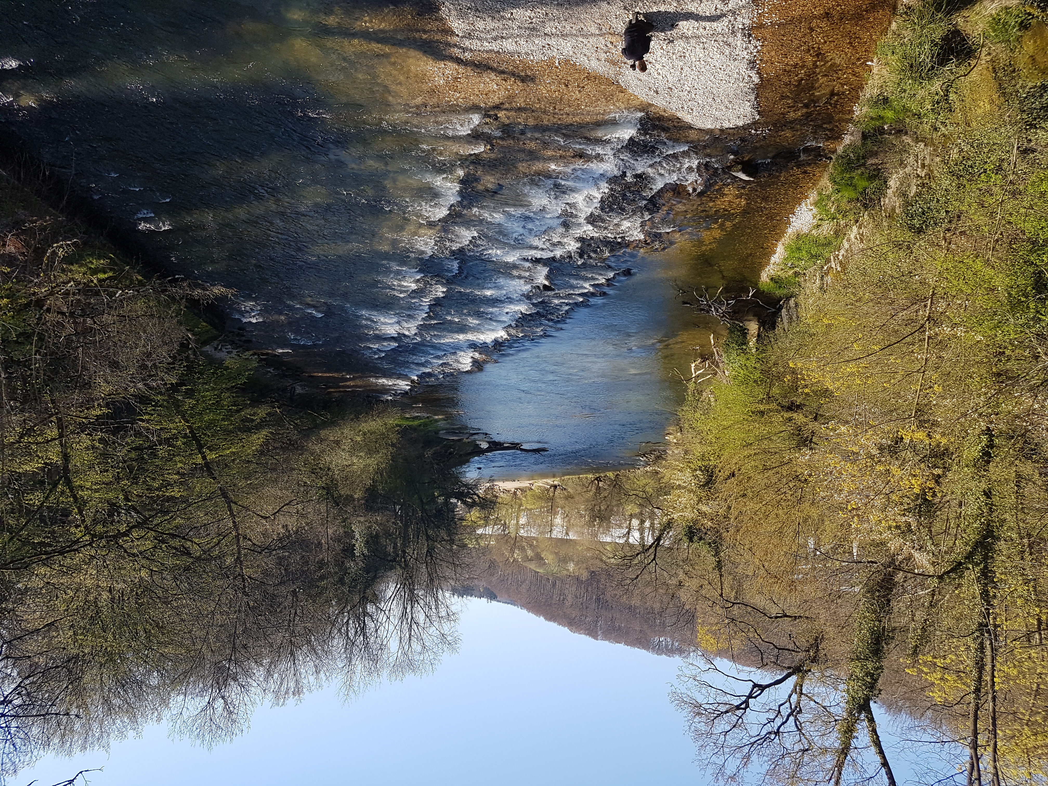 An der Birs bei Münchenstein im Kanton Basel-Landschaft herrschte schon Anfang April ein ziemlicher Tiefstand des Wassers. (Foto: SVGW/Peter C. Müller)